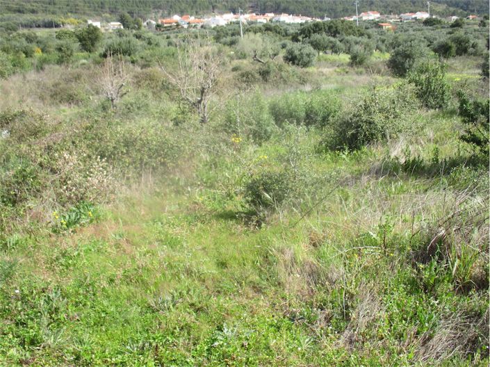 Image No.28-Propriété à vendre à Castelo Branco