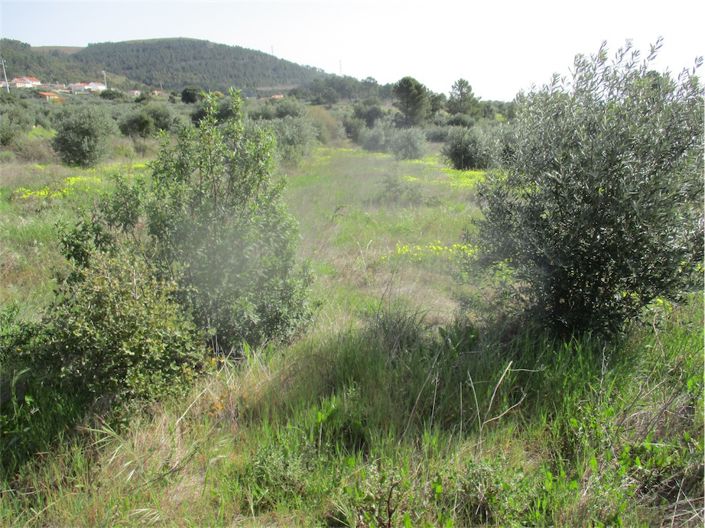 Image No.29-Propriété à vendre à Castelo Branco