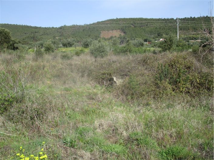 Image No.4-Propriété à vendre à Castelo Branco