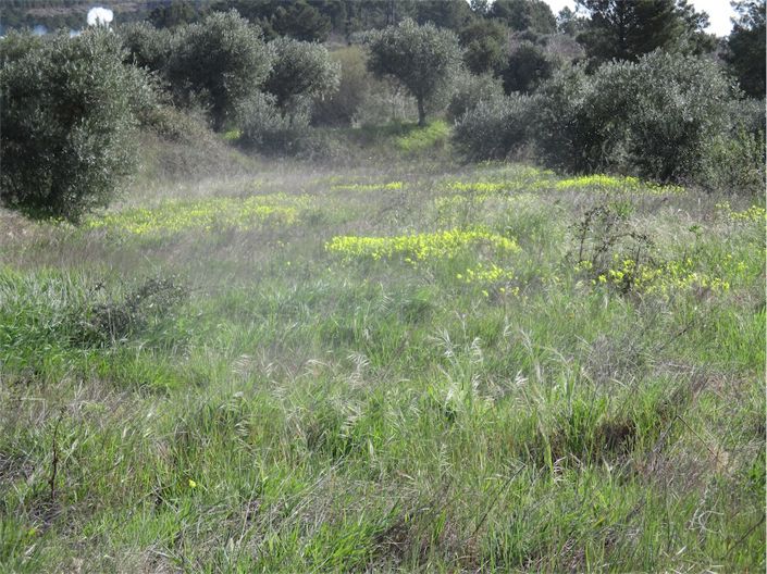 Image No.5-Propriété à vendre à Castelo Branco