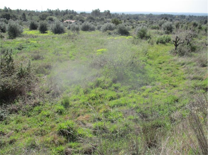 Image No.9-Propriété à vendre à Castelo Branco