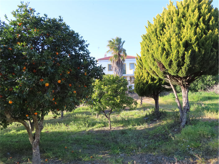 Image No.2-6 Bed Property for sale