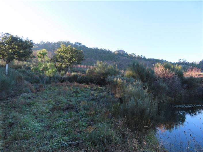 Image No.11-Propriété à vendre à Castelo Branco