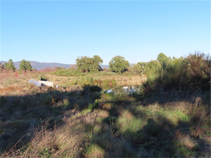 Image No.14-Propriété à vendre à Castelo Branco