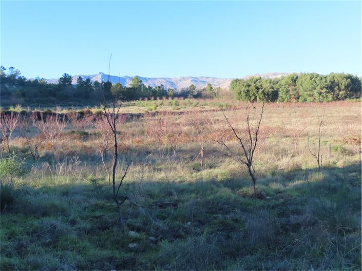 Image No.15-Propriété à vendre à Castelo Branco