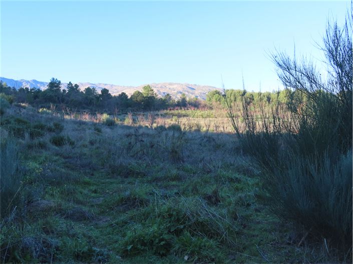 Image No.16-Propriété à vendre à Castelo Branco