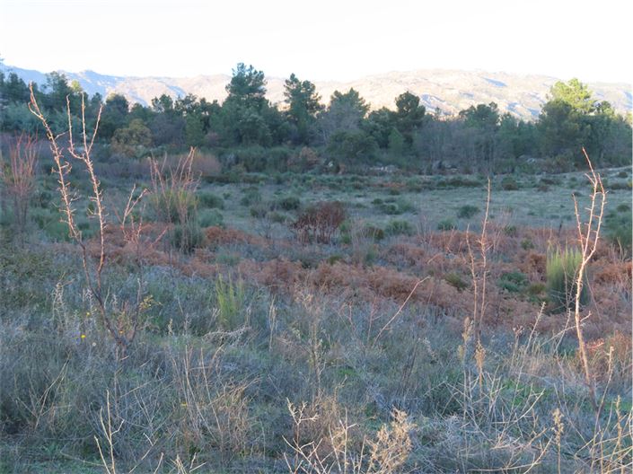 Image No.18-Propriété à vendre à Castelo Branco