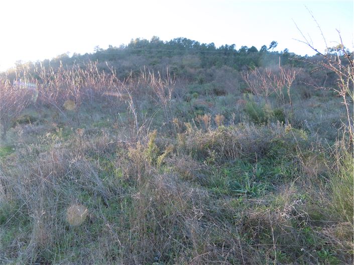 Image No.19-Propriété à vendre à Castelo Branco