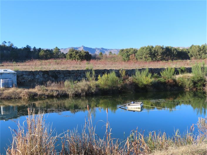 Image No.2-Propriété à vendre à Castelo Branco