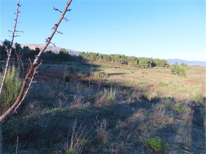 Image No.20-Propriété à vendre à Castelo Branco