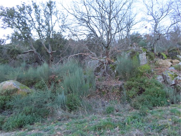 Image No.23-Propriété à vendre à Castelo Branco