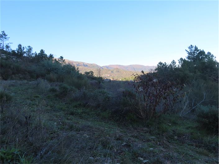 Image No.25-Propriété à vendre à Castelo Branco