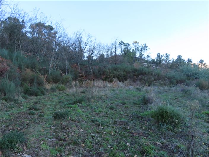 Image No.26-Propriété à vendre à Castelo Branco