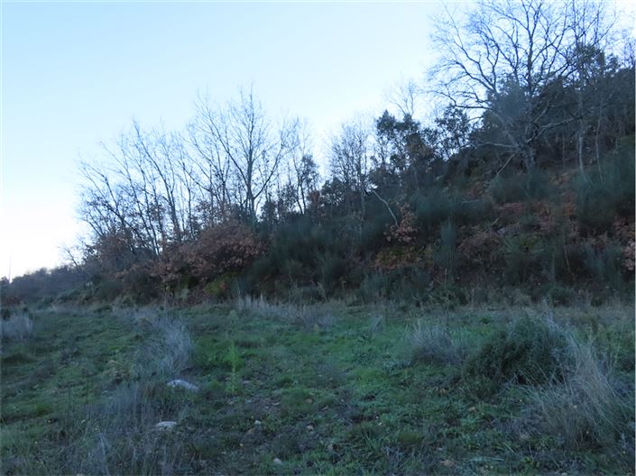 Image No.28-Propriété à vendre à Castelo Branco