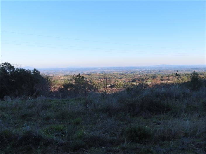 Image No.30-Propriété à vendre à Castelo Branco