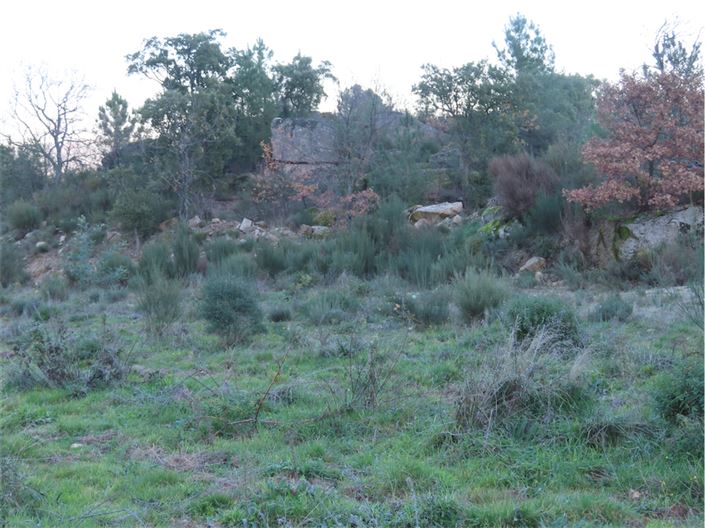 Image No.32-Propriété à vendre à Castelo Branco