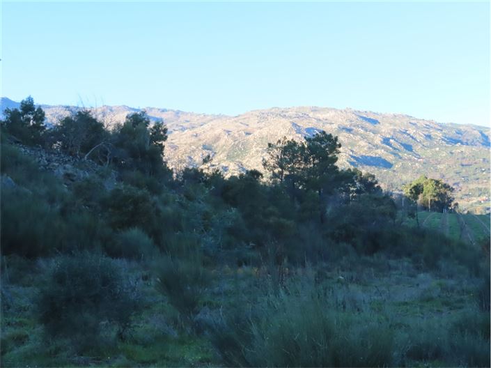 Image No.33-Propriété à vendre à Castelo Branco