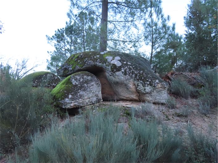 Image No.34-Propriété à vendre à Castelo Branco