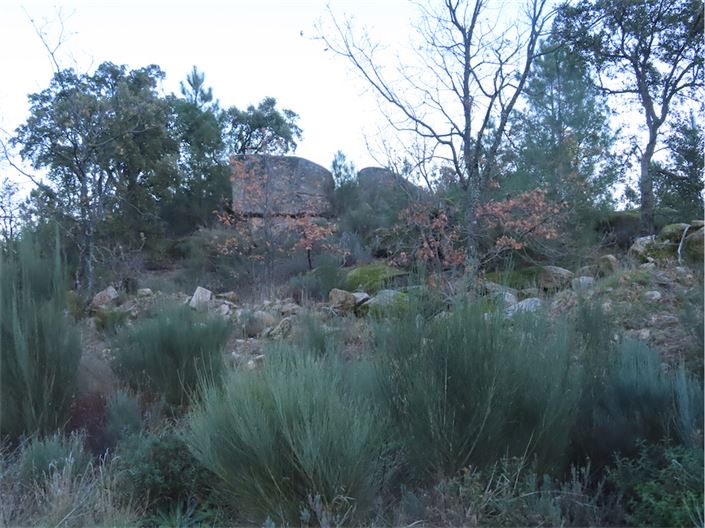 Image No.35-Propriété à vendre à Castelo Branco