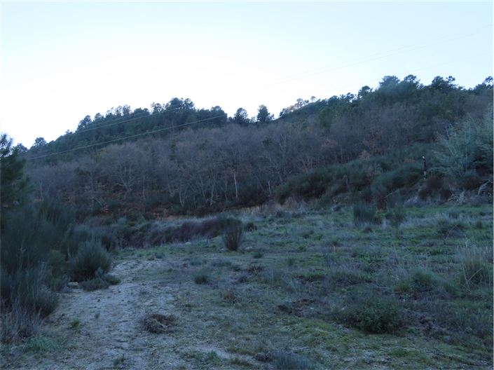 Image No.36-Propriété à vendre à Castelo Branco