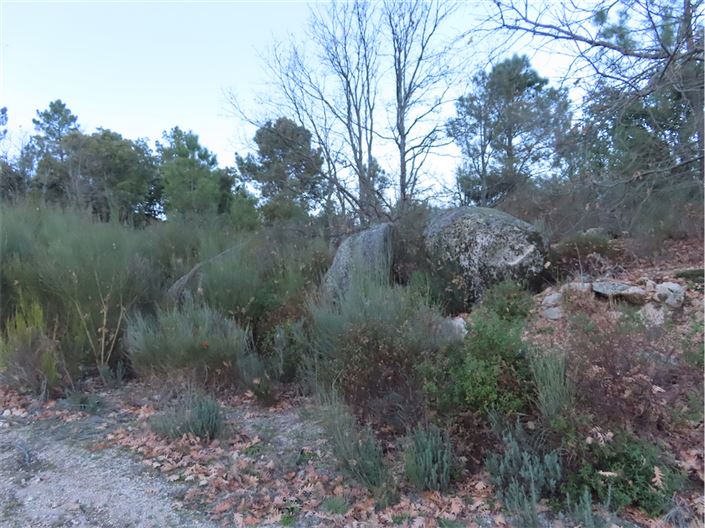 Image No.37-Propriété à vendre à Castelo Branco