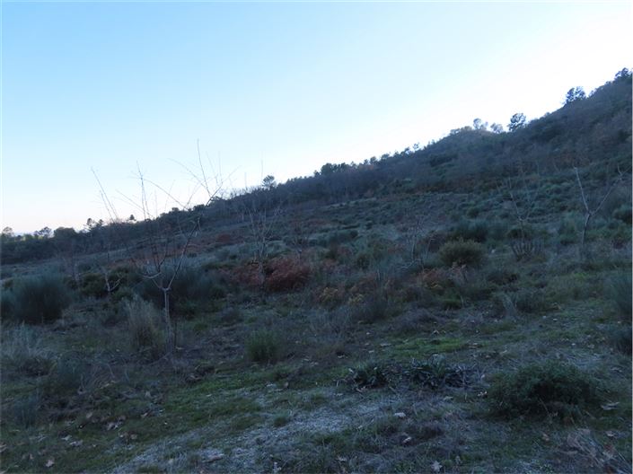 Image No.38-Propriété à vendre à Castelo Branco