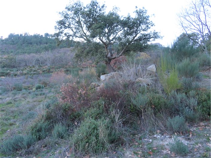 Image No.39-Propriété à vendre à Castelo Branco