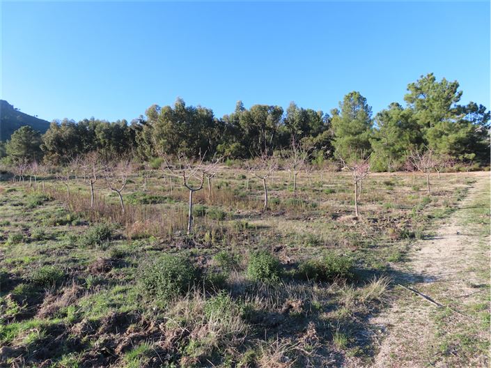 Image No.4-Propriété à vendre à Castelo Branco