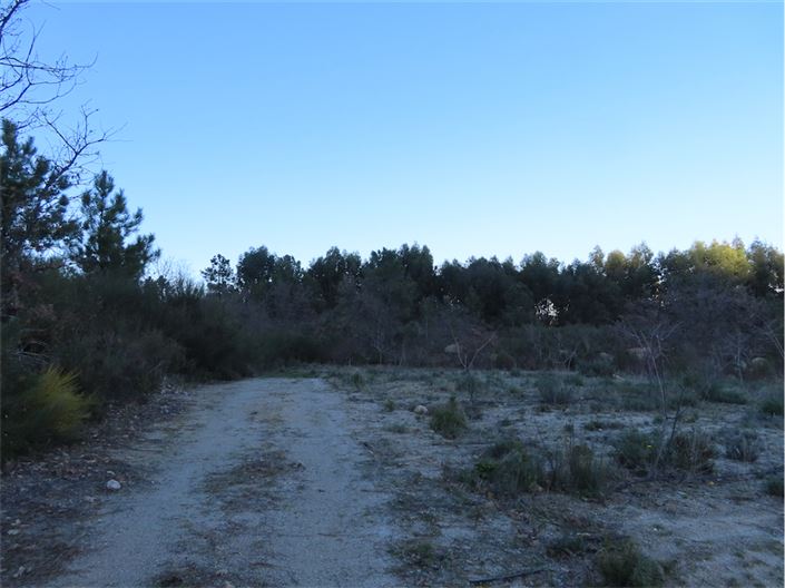 Image No.40-Propriété à vendre à Castelo Branco