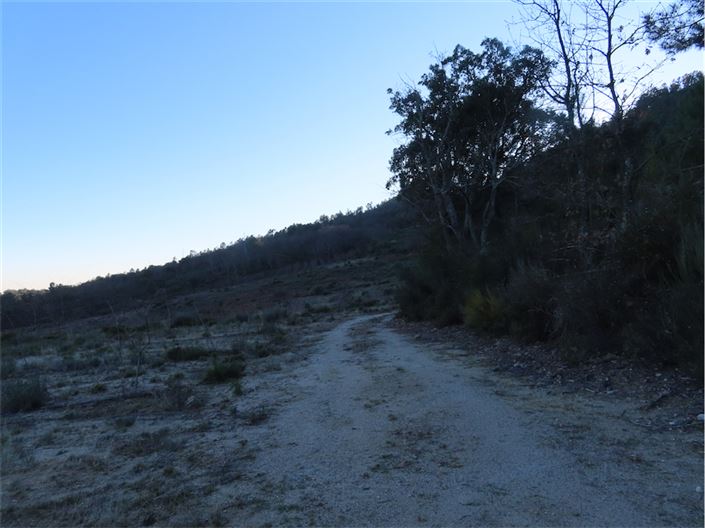 Image No.41-Propriété à vendre à Castelo Branco