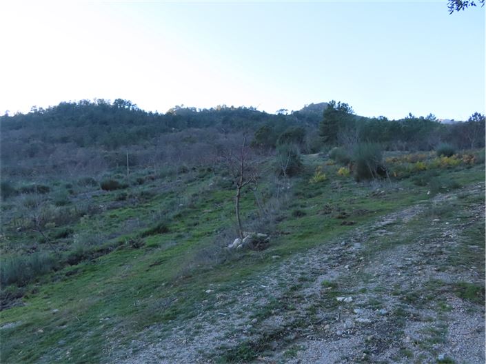 Image No.42-Propriété à vendre à Castelo Branco