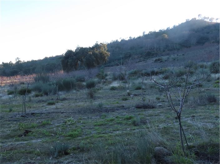 Image No.44-Propriété à vendre à Castelo Branco