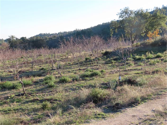 Image No.47-Propriété à vendre à Castelo Branco