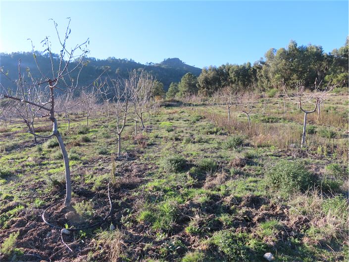 Image No.5-Propriété à vendre à Castelo Branco