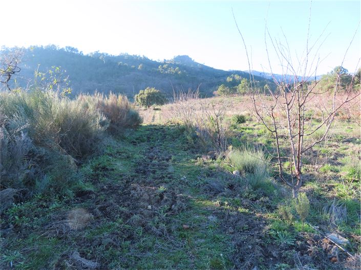 Image No.6-Propriété à vendre à Castelo Branco