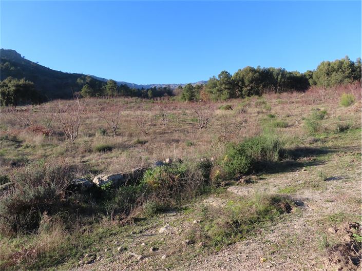 Image No.8-Propriété à vendre à Castelo Branco