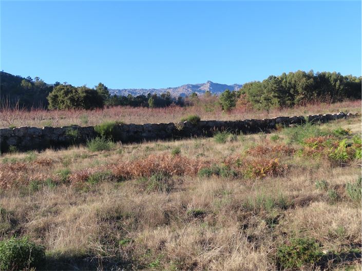 Image No.9-Propriété à vendre à Castelo Branco