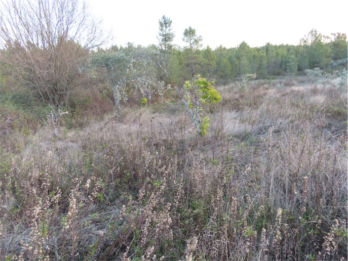 Image No.15-Propriété à vendre à Castelo Branco