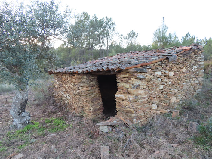 Image No.18-Propriété à vendre à Castelo Branco