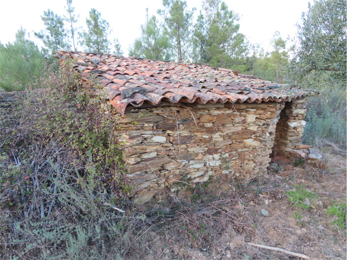 Image No.2-Propriété à vendre à Castelo Branco