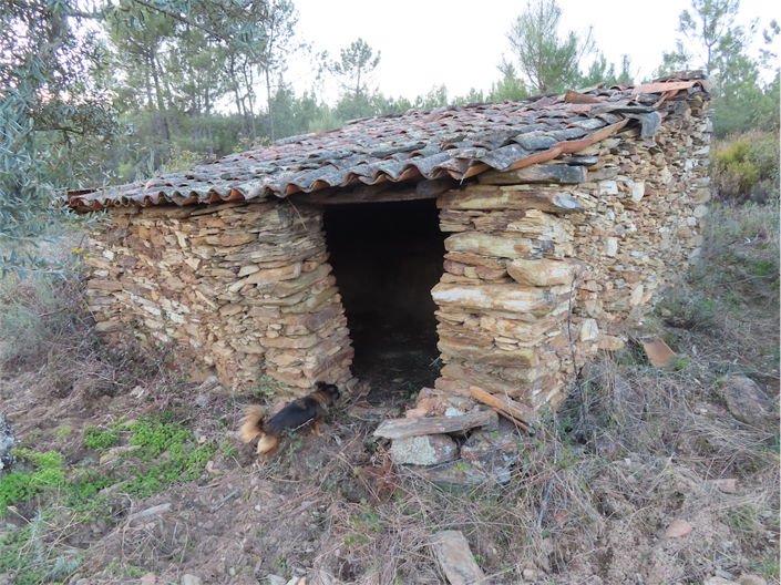 Image No.3-Propriété à vendre à Castelo Branco