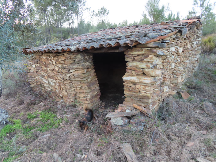 Image No.4-Propriété à vendre à Castelo Branco