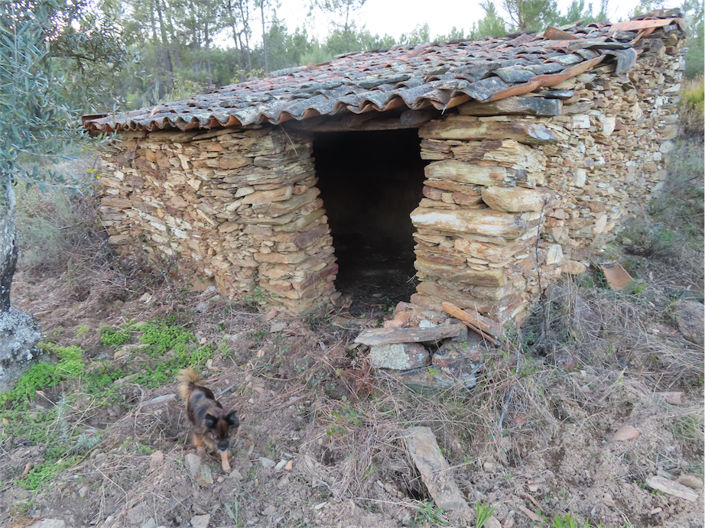 Image No.5-Propriété à vendre à Castelo Branco