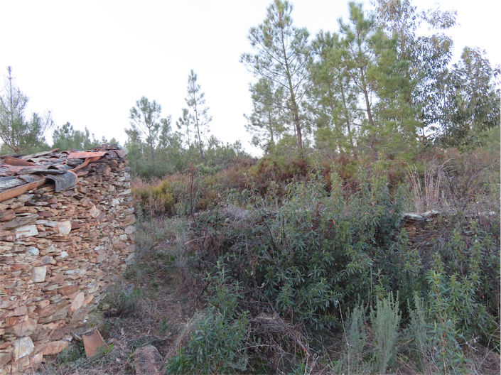 Image No.6-Propriété à vendre à Castelo Branco