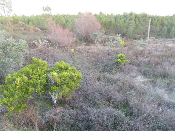 Image No.9-Propriété à vendre à Castelo Branco