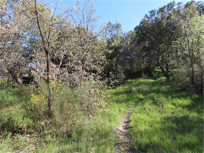 Image No.10-Propriété à vendre à Castelo Branco