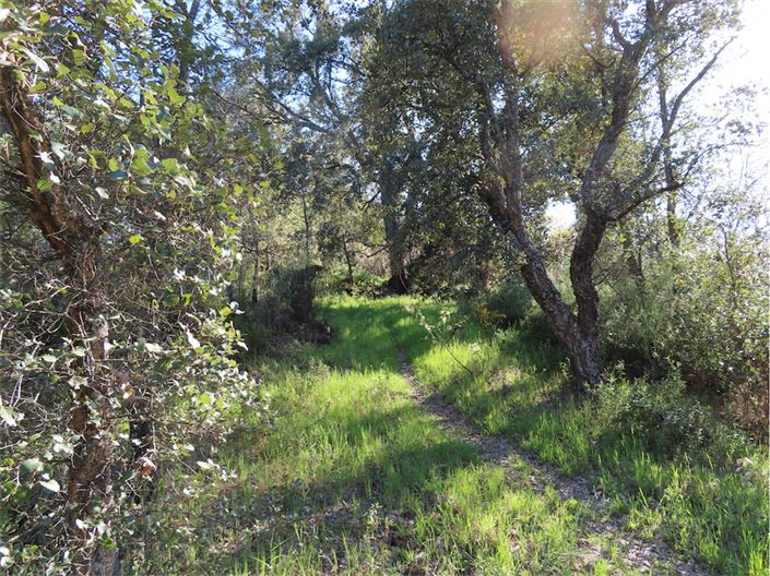 Image No.11-Propriété à vendre à Castelo Branco