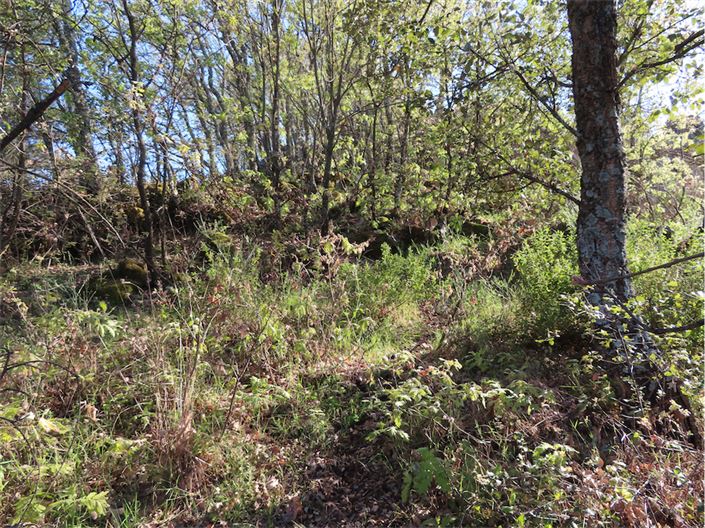 Image No.12-Propriété à vendre à Castelo Branco