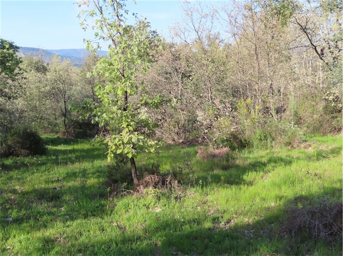 Image No.13-Propriété à vendre à Castelo Branco