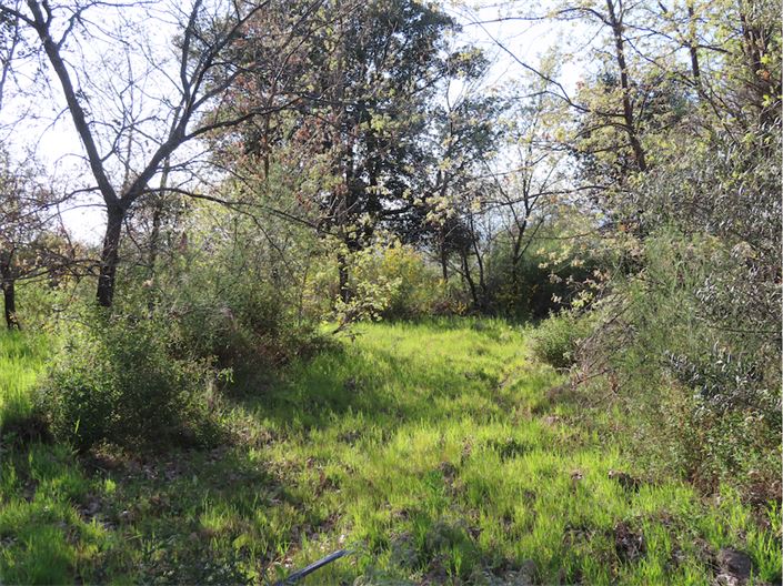 Image No.14-Propriété à vendre à Castelo Branco